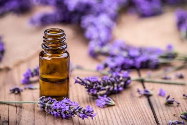 use lavender