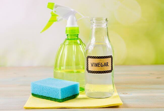 Vinegar as a blug repellent