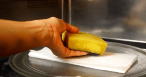 microwave-the-kitchen-sponge